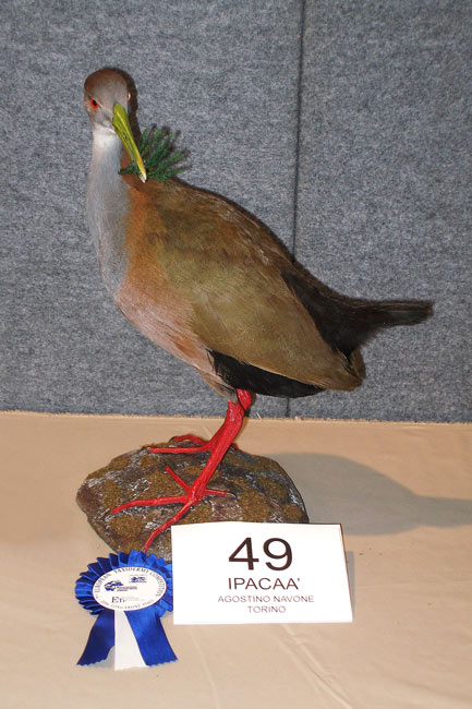 2009-ipacaa
